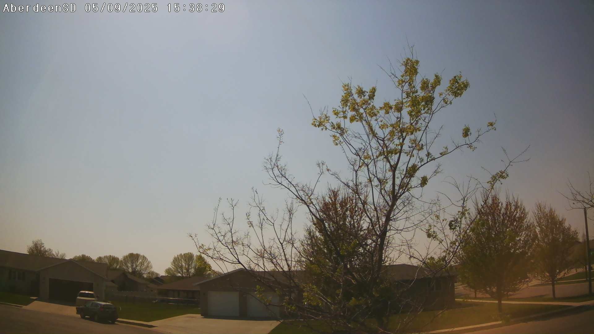 Web Cam History Image - 100